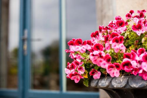 B&B Manoir du Clos Clin – Pleurtuit, AL
