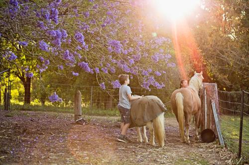 Pinbarren Green Lodges Noosa