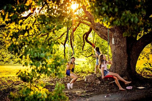 Pinbarren Green Lodges Noosa