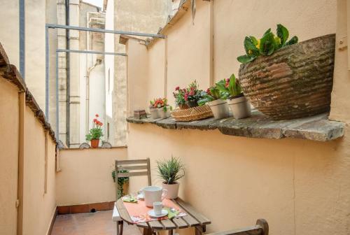 Apartments Florence - Canto Dei Nelli - image 9
