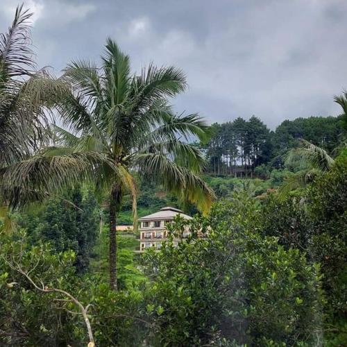 albero hotel bogor