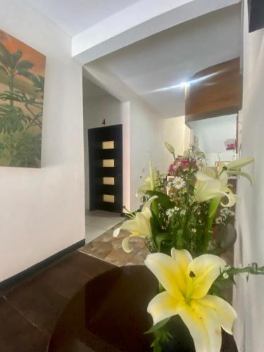Casa Tacuba – Puerto Escondido, LA