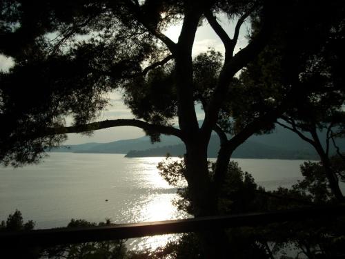 Farniente - Location, gîte - Le Lavandou