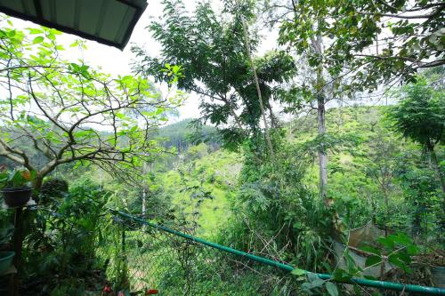 Nature Relax - image 2