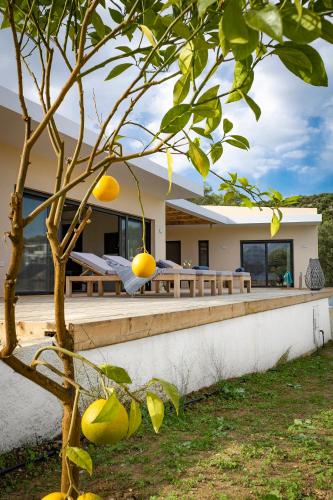 Villa Hermes