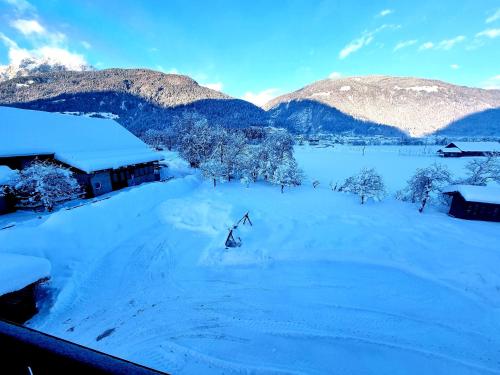 Guesthouse Schoba Typ B Guesthouse Schoba Typ B