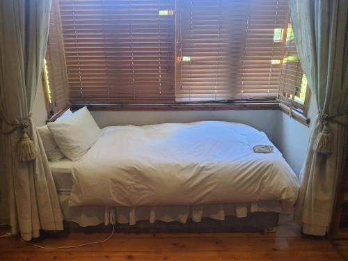 3 twin beds