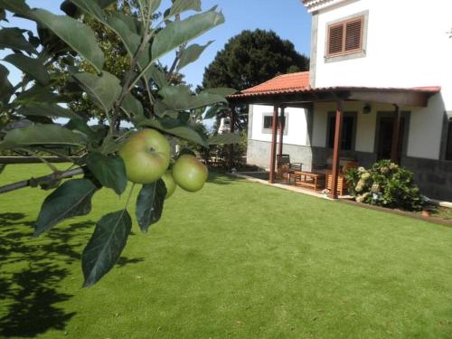  Villa Arrebol Azul in Valleseco