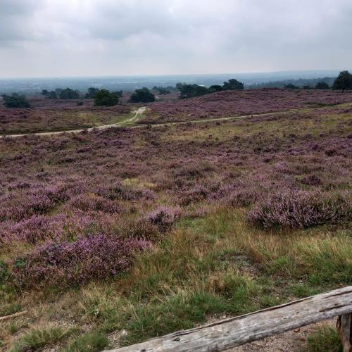 Bed and Breakfast Vechtdals Mooiste in Buurtschap Giethmen