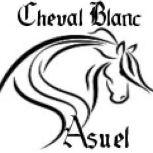  Au Cheval Blanc in Asuel