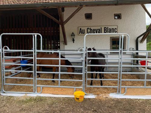 Au Cheval Blanc