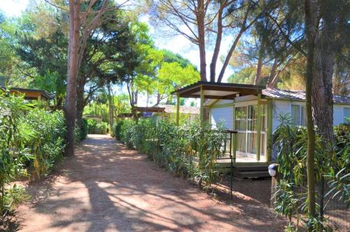 Camping La Pinède Enchantée - image 8