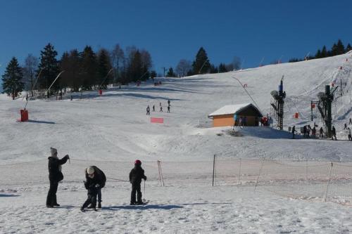 Gîte Le Larcenaire, Bussang