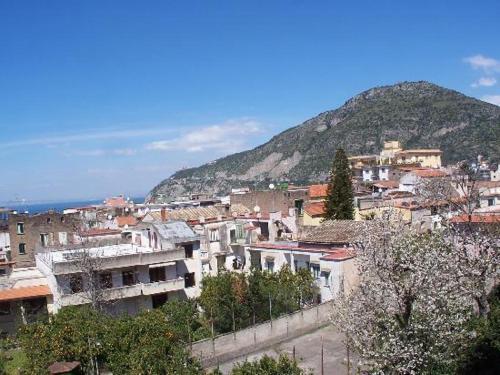 Casa Rachele - Photo 5