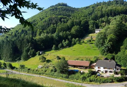 Gîte Le Creux Chêne - Apartment - Rombach-le-Franc