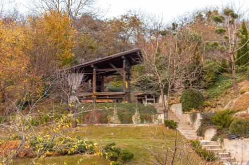Villa crocus, Lvov (fotografie 7)