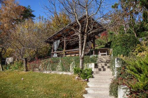 حديقة, Villa crocus in Shevchenkivs'Kyi District