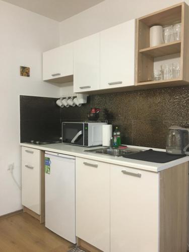 REoN Apartment, Osijek - self CHECK IN, Osijek (fotografie 8)