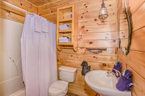 Beary Cozy in Sevierville, USA
