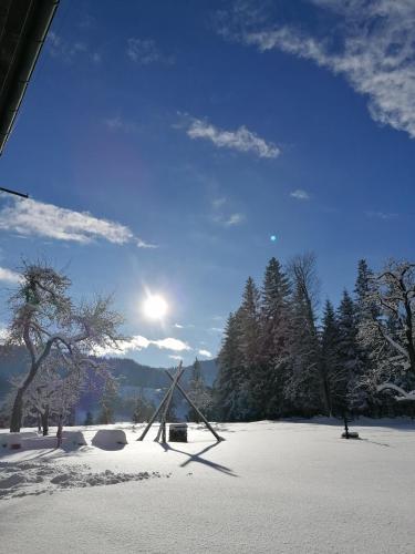 Pension Sunnbichl - image 14