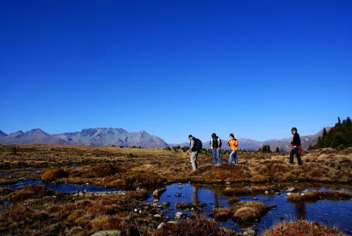 Pension Tirol - image 11