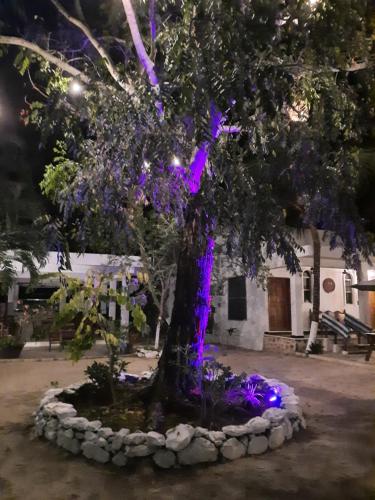 Hotel Casa Lima Bacalar – Bacalar, TX