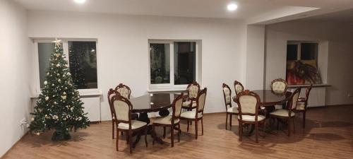 Kambariu arba pirties nuoma/Rooms for rent