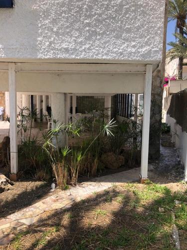 PALMERAS