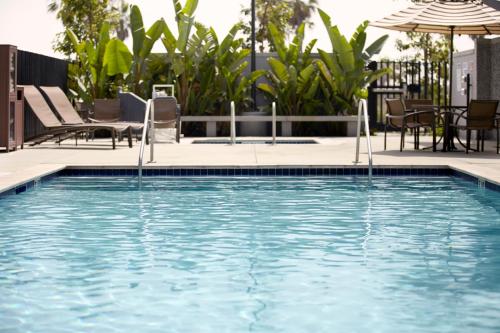 Swimming pool, Hyatt Place Lakeland Center in Lakeland (FL)