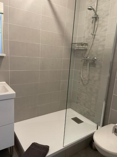 Épinal : superbe appartement en plein centre ville 4