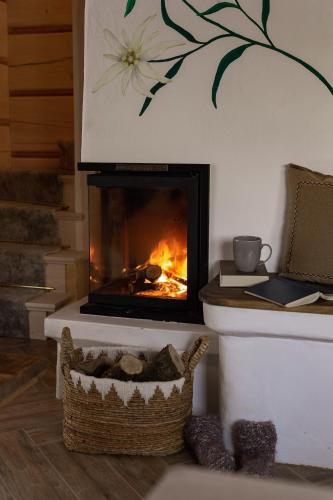 Tatra Chalet Krupówki 77A, Zakopane (fotografie 4)