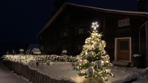 ทัศนียภาพภายนอกโรงแรม, Rosinas Dreiländerblick (Rosinas Dreilanderblick) in แรงค์วีล