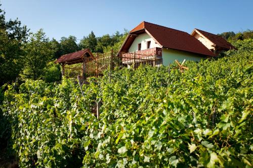 Vineyard Cottage Lustek