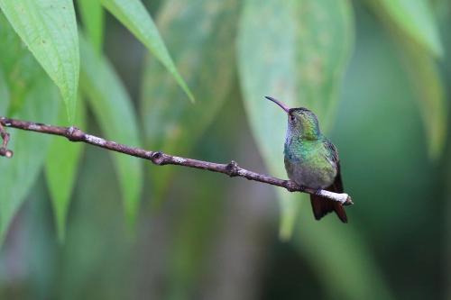 La Muñequita Lodge 1 - culture & nature experience