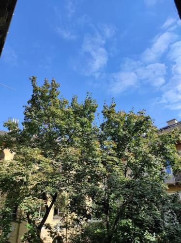 MOOKI Rumbach Budapest Apartment