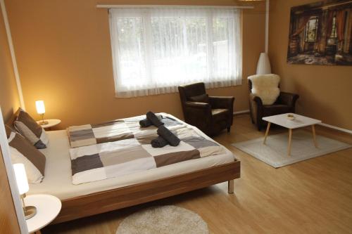 Pension Breite, Basilea (foto 5)