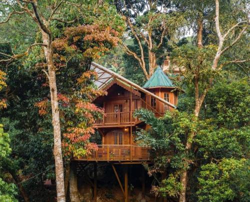 Forestvalley Tree House