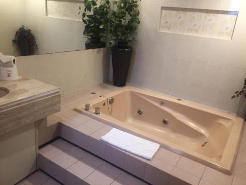 Hotel Fleming – Mexico City, CT