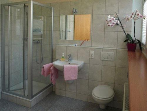 Econo Motel Goelzer 8.0km von Oberkirn entfernt