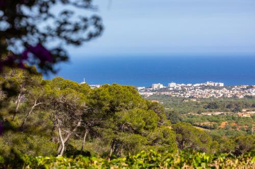  Finca Vall Dor in SHorta
