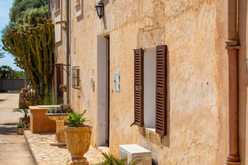 Finca Cavea