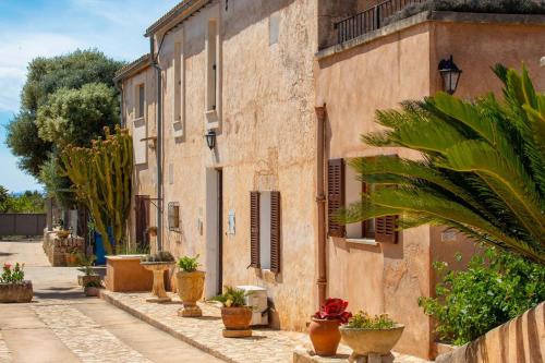 Finca Cavea Finca Cavea