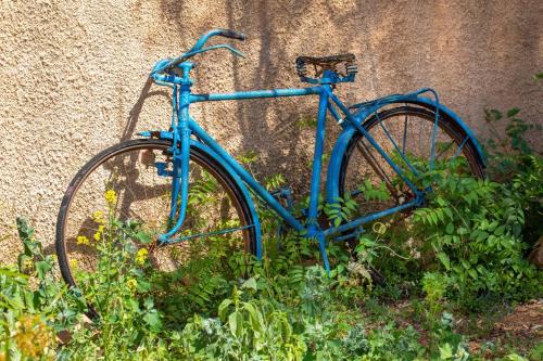 Finca Cavea Finca Cavea