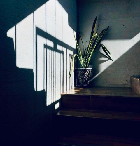 Facilities, 40Inn Backpackers Warehouse in Taitung