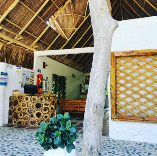 Hostal Dream House