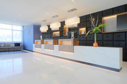 ล็อบบี้, Hotel Villa Odon in วิลลาวิซิโอซาเดโอดอน