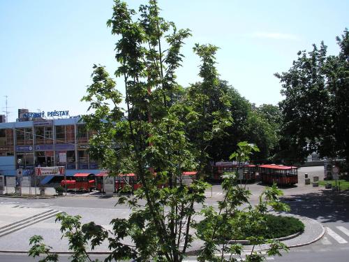 Apartment Riverside - River View - image 10