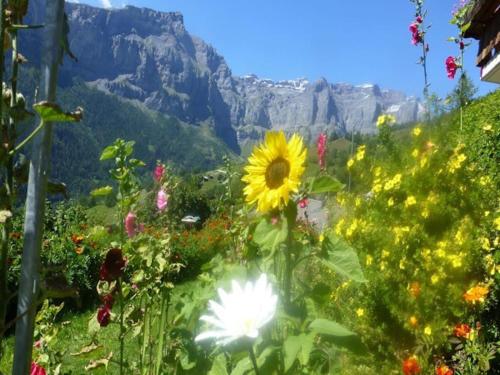 Gemütliche sonnige Wohnung Bergpanoramasicht