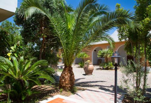 Garden Hotel Ripa - image 10