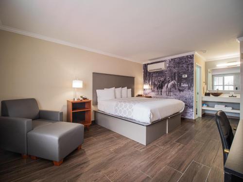 Equus Inn - image 8